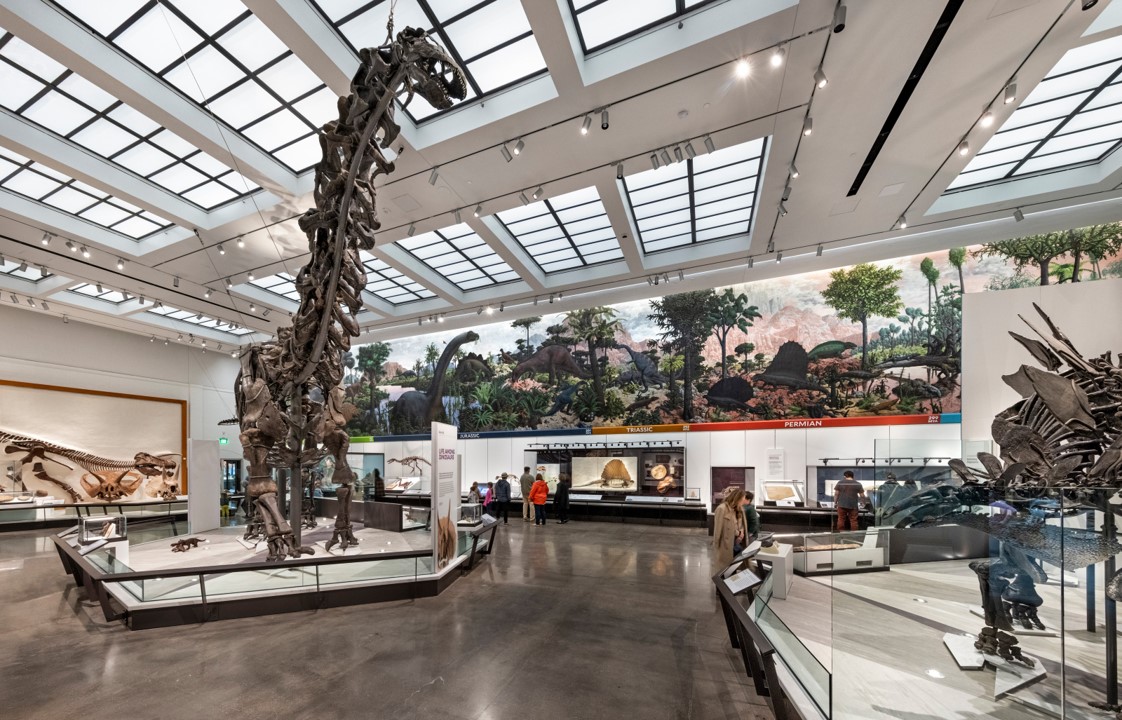 Yale Peabody Museum | Centerbrook Architects & Planners